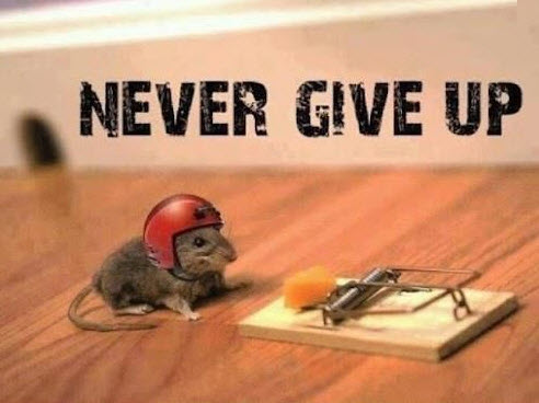 Never-Give-Up